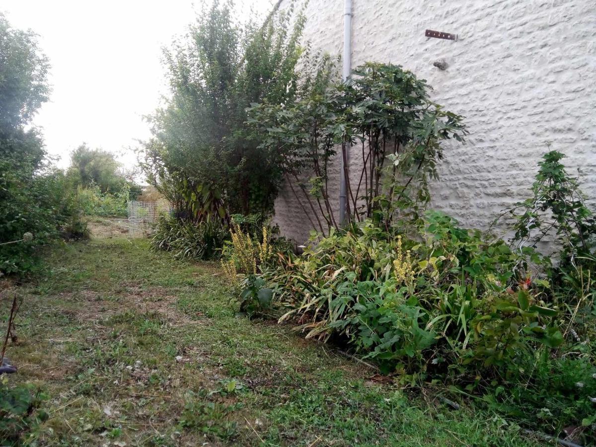 La Maison D'Hotes Des Charentes Les Touches-de-Périgny Zewnętrze zdjęcie